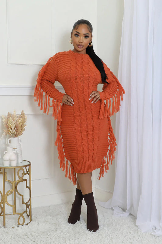 Fringe Sweater Dress